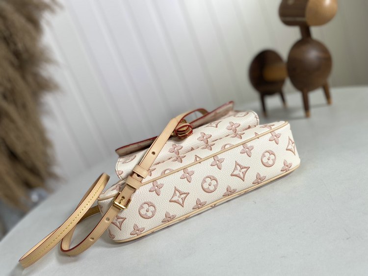 Louis Vuitton M20920 Maxi Multipochette Bag