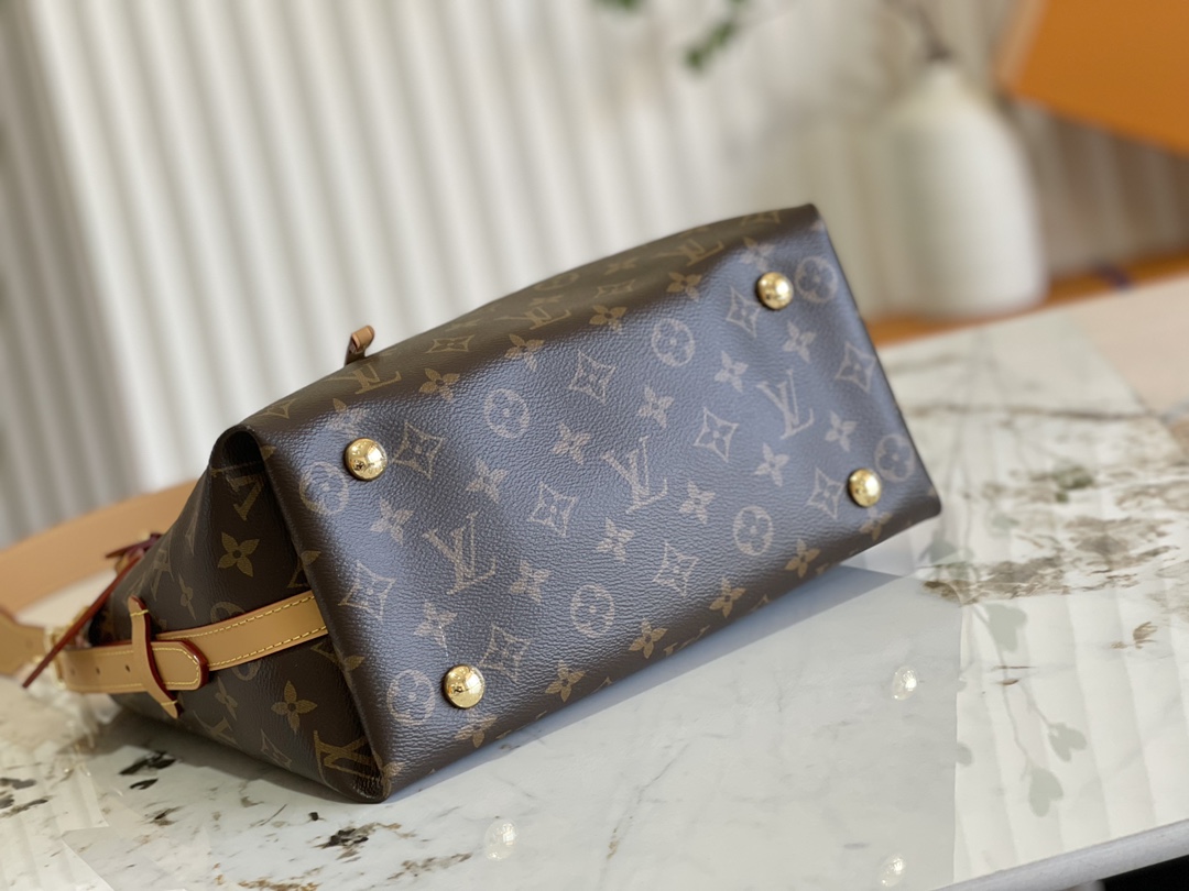 Louis Vuitton M46203 CarryAll Handbag