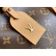 Louis Vuitton M46203 CarryAll Handbag