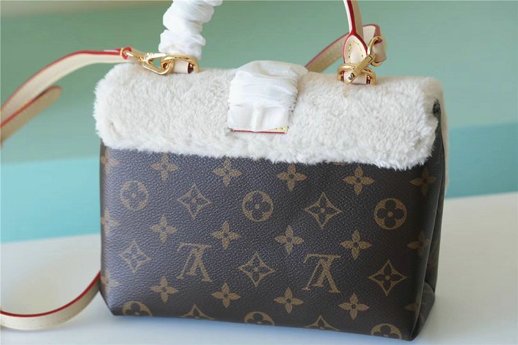 Louis Vuitton M46318 Monogram DIANE Locky BB Handbag