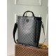 Louis Vuitton M46693 Handbag