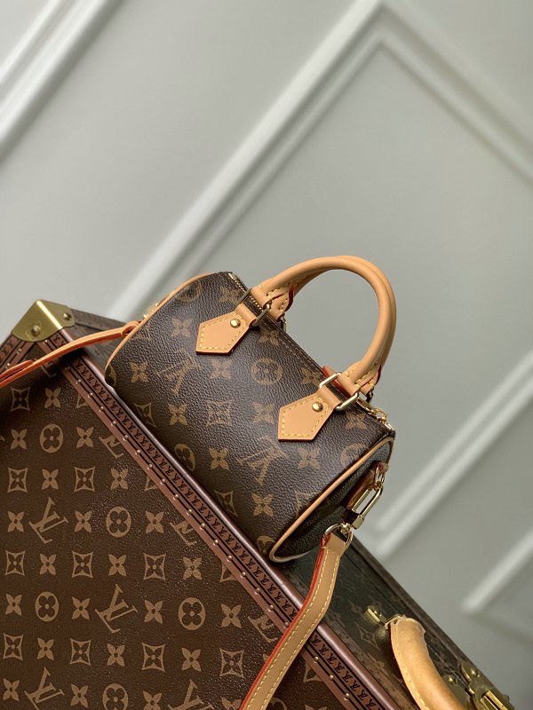 Louis Vuitton M82624 NANO Monogram Speedy Vivienne Bag