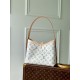 Louis Vuitton M24707 CarryAll PM Other Monogram Canvas