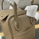 Hermès Lindy mini 19 Women's Shoulder Bag  Real Cowleather Free Shipping