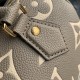 Louis Vuitton M58953 Speedy Bandoulière 20 Monogram Handbag